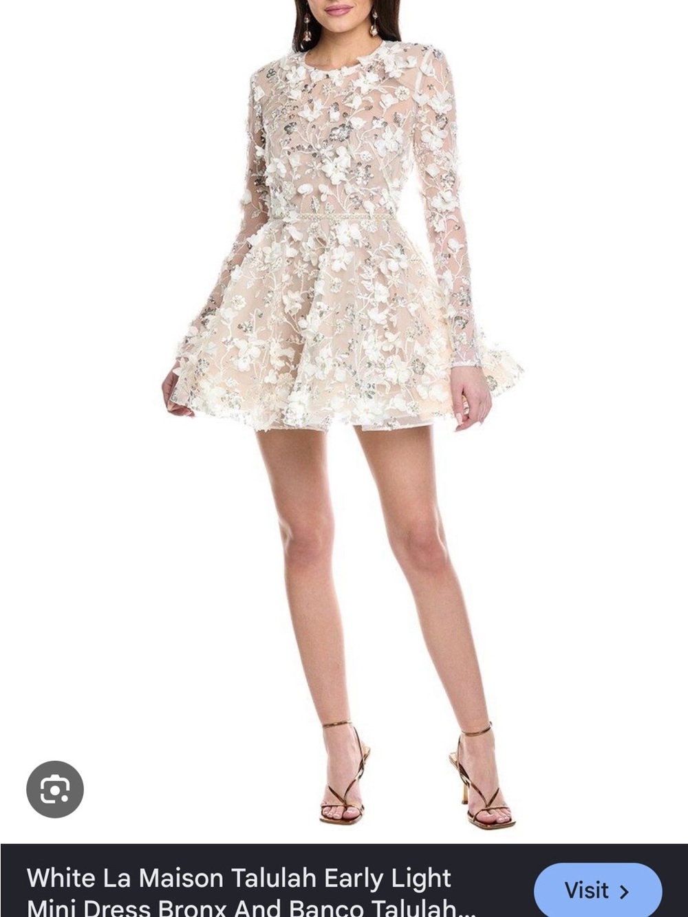 Bronx and Banco Talulah Mini Dress - Ivory Floral Embroidered